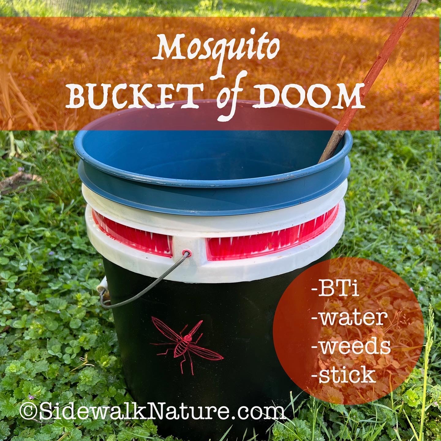 Easy Safe DIY Mosquito Control
